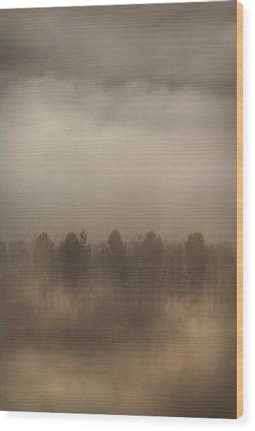 Fog Wall Photograph By Andy Astbury