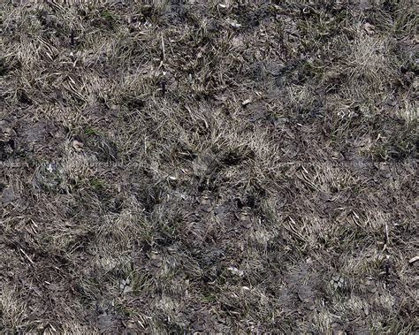 Dry Grass Texture Seamless 12937