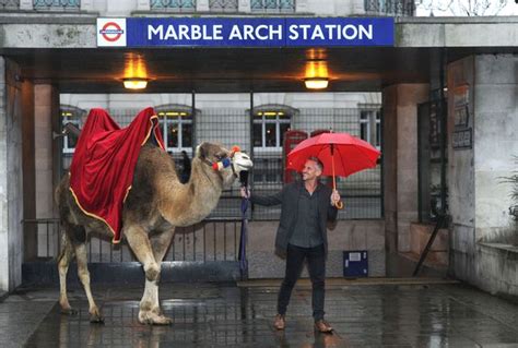 James brown often used this dance in his routine when he performed on stage. Why is Gary Lineker walking a camel outside Marble Arch ...