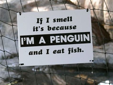 The 27 Funniest Zoo Signs Ever Gallery