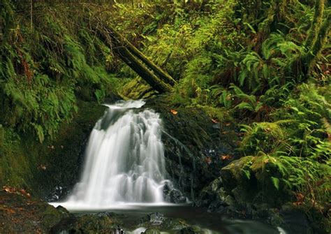 4k 5k Latourell Oregon Usa Waterfalls Moss Hd Wallpaper Rare