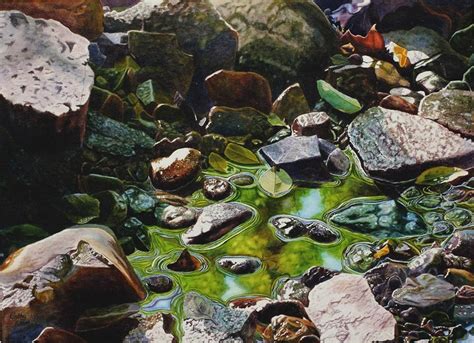 Creek Art Watercolor Painting Print By Cathy Hillegas X