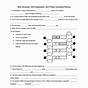 Dna Replication Labeling Worksheet Answers