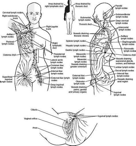 Manual Lymphatic Drainage Direction