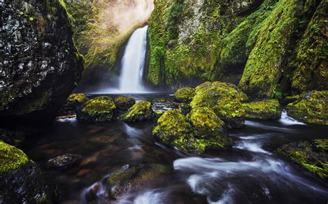 Support us by sharing the content, upvoting wallpapers on the page or sending your own background pictures. Green Moss Waterfall 4K Wallpapers | HD Wallpapers | ID #18535