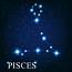 Pisces Definition And Meaning  Collins English Dictionary