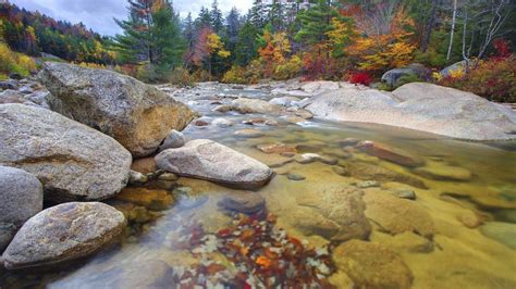 Stones Mountain Streams Forest Season Rocks Wonderful Nature Autumn Trees Stream