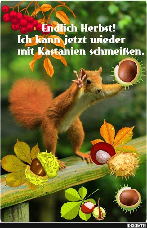  Herbst Lustige Sprüche