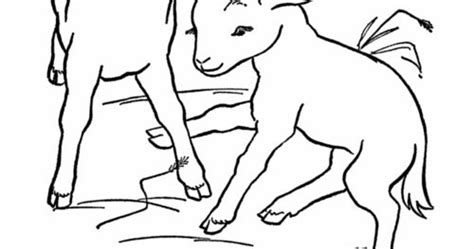 Baby Farm Animals Coloring Pages For Kids Disney Coloring Pages