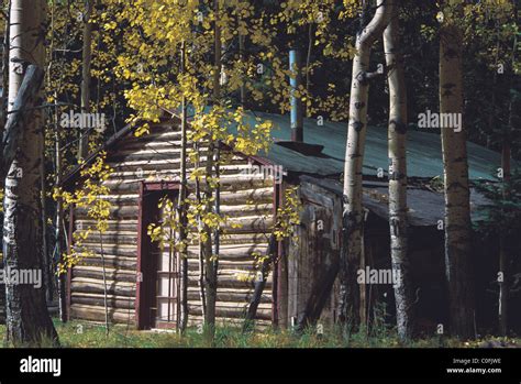 Well Kept Log Cabin In Aspen And Pine Forest Stock Photo Alamy