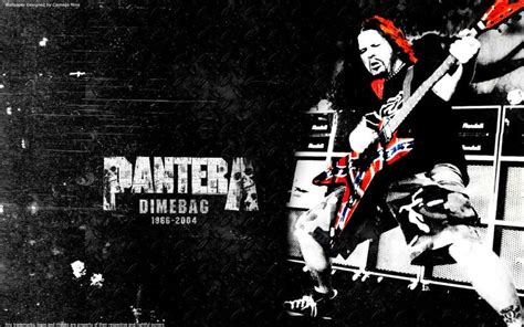 Band Music Pantera Dimebag Darrell Guitar Guitarist Heavy Metal