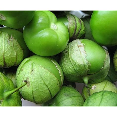 Buy Verde Tomatillo Physalis Ixocarpa Vegetable Seeds Also Known As