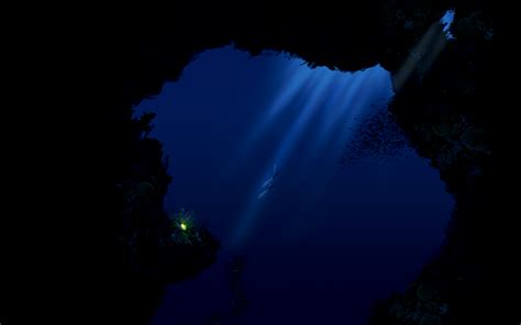 Deep Sea Diving Wallpapers Wallpaper Cave