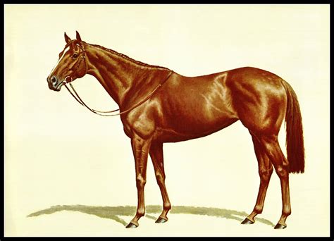 Dibidale Painted By Richard Stone Reeves Race Horses Etsy Horses