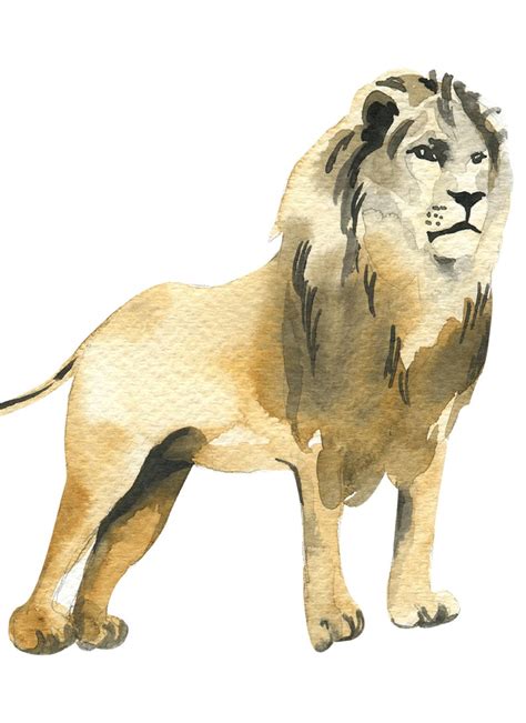 Lion Printable Safari Animal Print Nursery Decor Animal Etsy