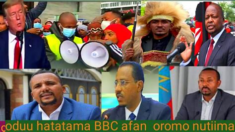 Oduu Hatataamaa Bbc Afan Oromo Youtube