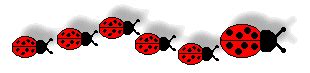 Free ladybug cliparts borders, download free clip art, free clip art on clipart library these pictures of this page are about:ladybug border clip art. Ladybug Clip Art Border | Clipart Panda - Free Clipart Images