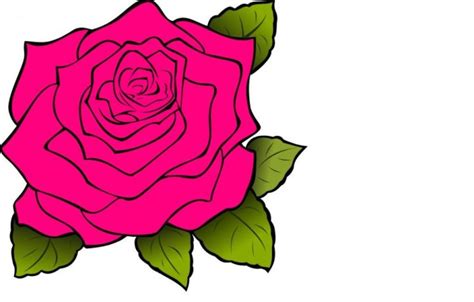 80 Gambar Bunga Mawar Kartun Paling Bagus Gambar Pixabay