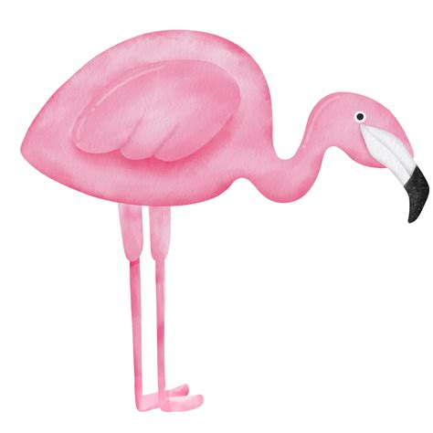 Watercolor Pink Flamingo Clipart Png