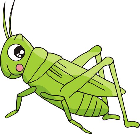 Insects Clipart Insect Grasshopper Dibujos Animados De Un Grillo