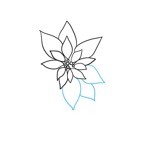 How To Draw A Poinsettia Really Easy Drawing Tutorial Easy Drawings