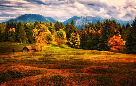Wallpaper Field Autumn Forest Grass Bright Colors Clouds Trees