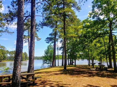 Another Mile Another Destination Blog: Mistletoe State Park, Appling