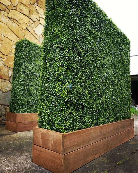 Large Portable Mixed Boxwood Hedge 15m By 15m Uv