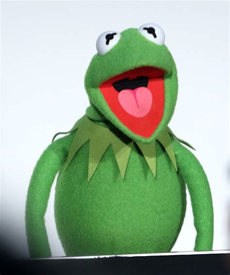 Sexy Kermit The Frog Miss Piggy Muppet Wiki Fandom