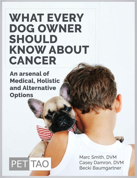 What Every Dog Owner Should Know About Cancer Instant Ebook Download