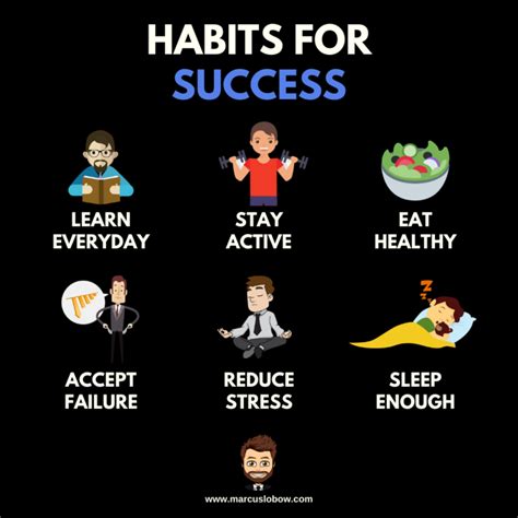 Top 6 Habits for Successful People - Marcus Lobow