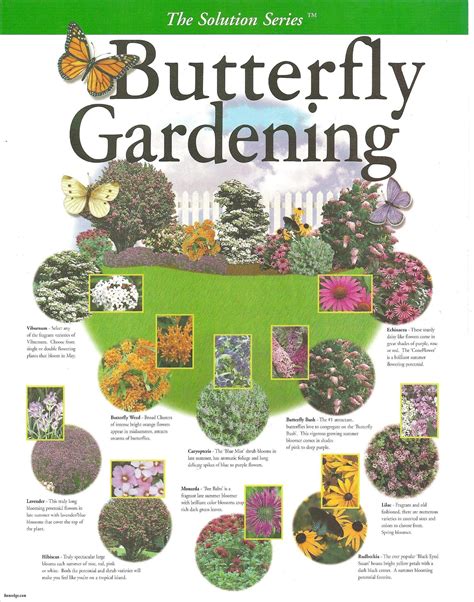As pollinators, bees, butterflies and insects play an essential role in our gardens. fine Unique Design Your Own Garden , Butterfly Gardening ...
