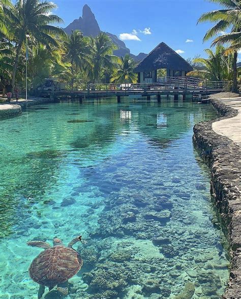 Bora Bora The World Only Exists In Your Eyes You Can Make It As