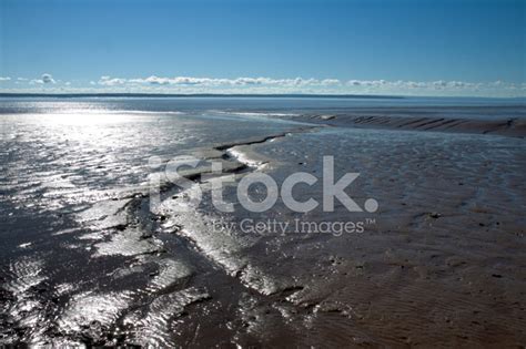 Fundy Mud Flats Stock Photo Royalty Free Freeimages