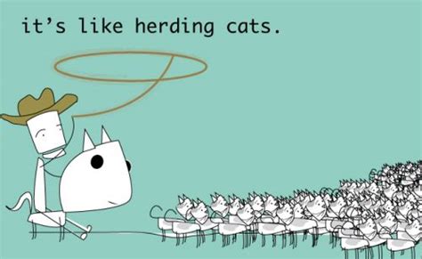 Herding Cats Or Managing People Jks Talent Network