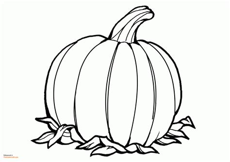 Pumpkin Coloring Pages For Harvest And Fall Season Print Color Craft
