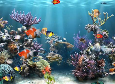 Free 3d Aquarium Wallpaper Wallpapersafari