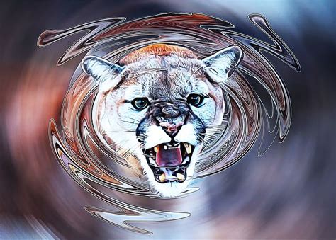 80 Free Cougars And Puma Images Pixabay