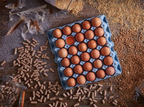 Maybe you would like to learn more about one of these? St Ewe Free Range Eggs Launch Shell Out To Help Out ...