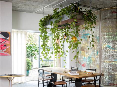Great news!!!you're in the right place for restaurant table plant. Bring The Outdoors In With Our Favorite Ways To Display ...