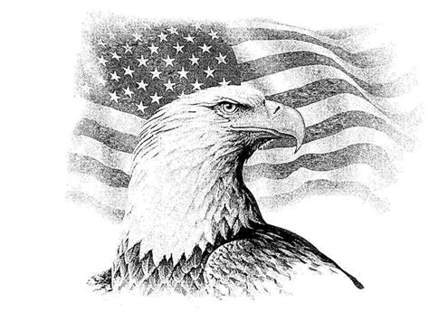 10 Eagle And Flag Drawing Flag Drawing Eagle