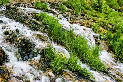 Close Up Of A Mountain Stream With Green Grass Stock Photo Image Of