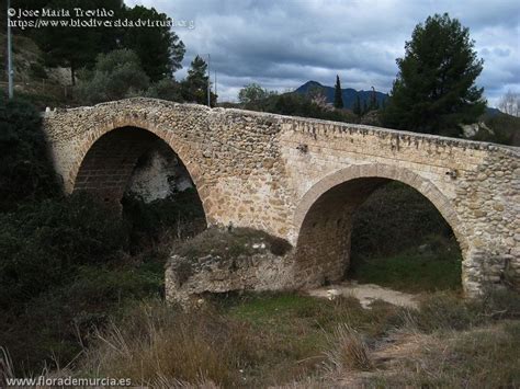 Tripadvisor has 772 reviews of moratalla hotels, attractions, and restaurants making it your best moratalla moratalla tourism: Puente de Hellín en Moratalla (Murcia) - 26896 ...