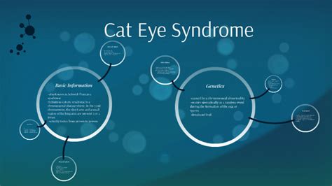 Cat Eye Disease By Quinn Ryan