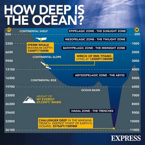 What Happened To The Titanic Sub And Its Passengers If It Imploded