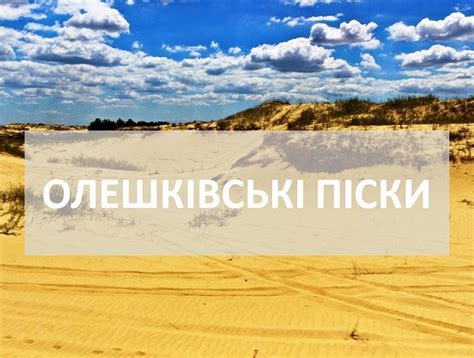 Національний природний парк Олешківські піски святкує 11 річчя