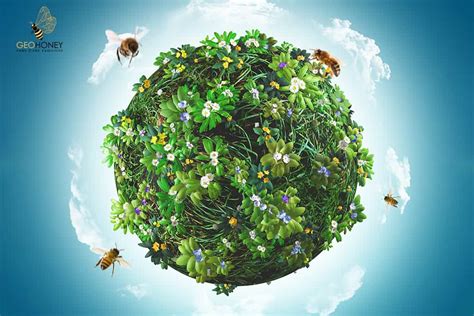 Fascinating Benefits Of Bee Honey L Blog L Geohoney