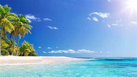 Las 20 Mejores Playas Del Caribe Costa Cruceros