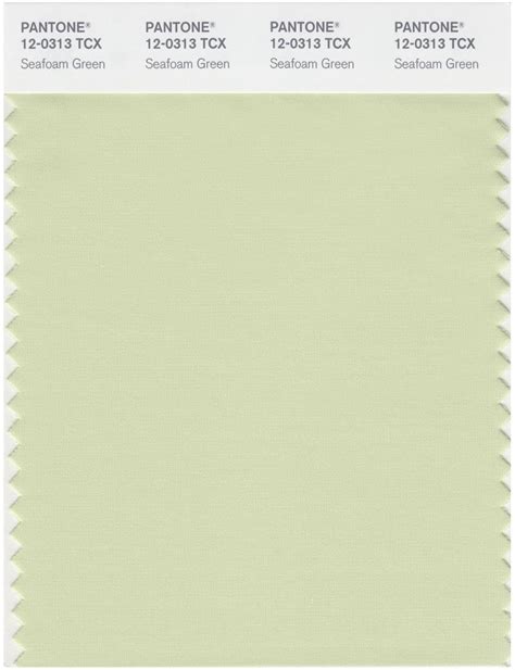 Pantone Smart 12 0313 Tcx Color Swatch Card Seafoam Green Magazine