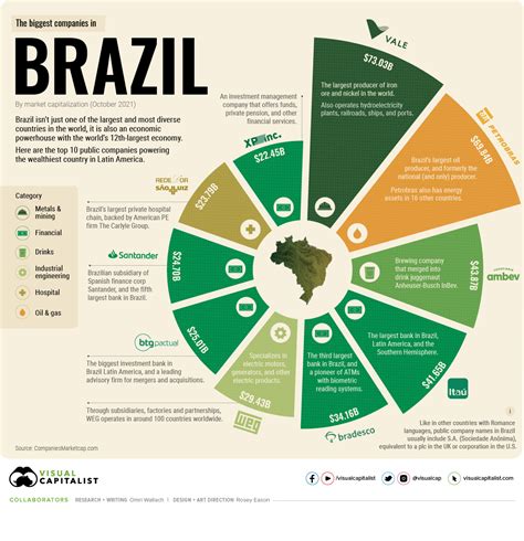 Visualizing The Top 10 Biggest Companies In Brazil Hot Sex Picture